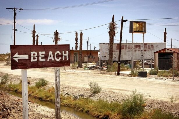 Salton Sea: From Palm Springs Hopeful to Apocalyptic Town